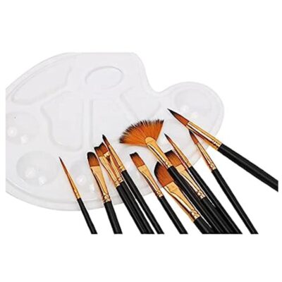 Craft Painting Brushes Set of 12 Professional Round Pointed Tip Nylon Hair Artist Acrylic Paint Brush for Acrylic/Watercolor/Oil Painting(N)