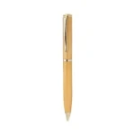 Gold Plate WB 0001s 0003 20240911 164104 ca005fd5 304f 406f 8b0e 069e06907f1b