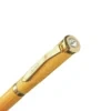 Gold Plate WB 0000s 0002 20240911 164222 1