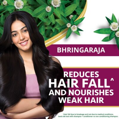 Himalaya Bringha Cond Ecom 03