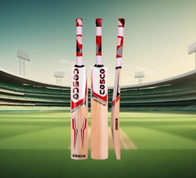 Razor Kashmir Willow Cricket Bat (Code:18021)