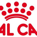 Royal Canin Renal Feline, 2 kg