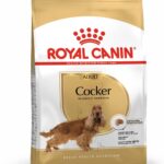 Royal Canin Cocker Adult Dog Food, 3 Kg, Dry Food, Helps with Healthy Skin & Coat & Cardiac Function, Supports Weight Management