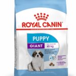 Royal Canin Pellet Giant Puppy Dog Food, Meat Flavour, 15 Kg