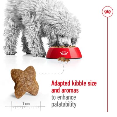 Royal Canin Mini Adult Dog Food, 800 Grams, Supports Weight Management & Digestive Health