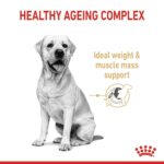 Royal Canin Labrador Retriever Adult Dog Food for 5+ Years of Age, 3 Kg, Dry Food, Supports Ideal Weight & Mass Management, Promotes Healthy Ageing Complex