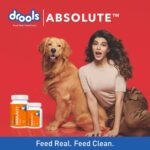 Drools Absolute Immunity Tablet Dog Supplement, 110 Pieces