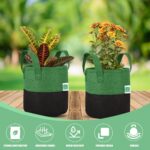 Fabric Grow Bags UV Treated Gardening Cotton Pots Terrace Indoor Outdoor Home Balcony Nursery Leafy Vegetable Fruits and Flower (Black & Green Round 400 GSM Size 8x8 Pack of 3)