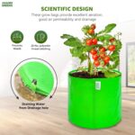 Uv Protected 260 GSM Round Green Color Plant Bags Suitable for Terrace and Vegetable Gardening 9x6 Inch Pack of 10 Grow Bags