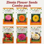 Zinnia Flower Seeds - (Combo Pack of 6 Colorful Seed Packets) A Vibrant Mix to Enhance Your Garden