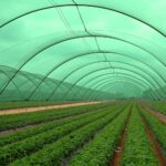 Nylon Gardening Shade net and 50% Sunblock Shade Cloth Net Mesh for Garden Patio & Plants - UV Treated, 3 x 10 Meters - Green