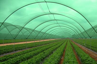 Nylon Gardening Shade net and 50% Sunblock Shade Cloth Net Mesh for Garden Patio & Plants - UV Treated, 3 x 10 Meters - Green