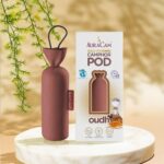 Gold Standard Camphor Pods (1 Original + 1 Oudh) - Pack of 2 - Organic Camphor Cone Air freshener For Room, Car, Bathroom, Office & Toilet | Long-Lasting Camphor pods