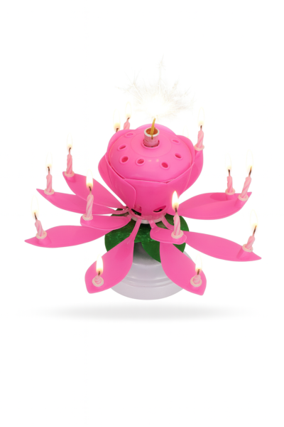 Musical Lotus Birthday Candle | Rotating Flower Candle with Sparkler & 14 Small Candles | Pink