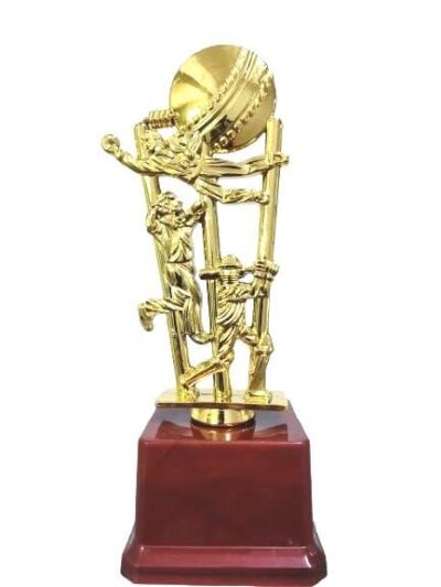 TMW Man of the Match Trophy – Golden Fiber Cricket Award