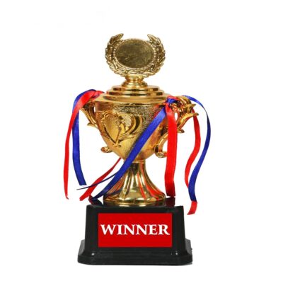 Plastic Golden Trophy Cup – 9.8 Inch | Winner Award for School, Office, Sports & Competitions