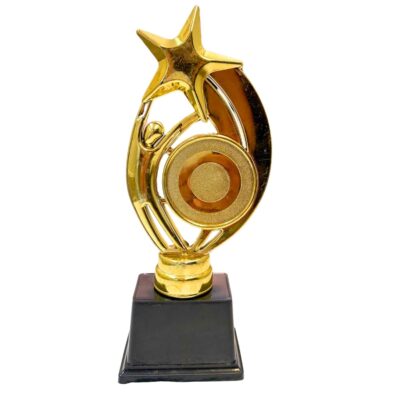 Gold Star Trophy with Black Base – 8 Inch | Custom Logo & Text Engraving Award Trophy (Set of 1)
