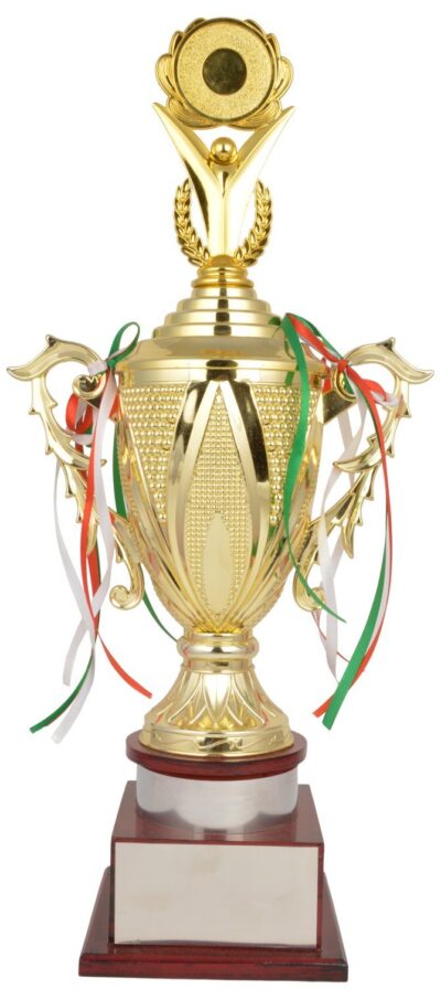 Trophy Junction Metallic Fiber Trophy – 19 Inch (Gold) | Premium Award Trophy for Events & Competitions
