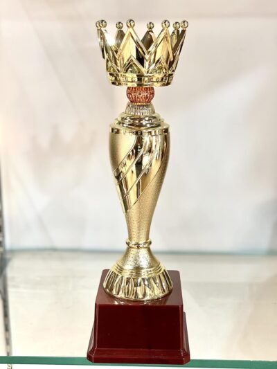 Trophy Junction Metallic Fiber Crown Trophy (Gold) – Premium Winner Award for Fashion Shows & Events