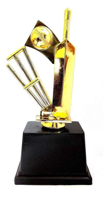 TMW Man of the Match Trophy | Cricket Winner Award Trophy for Tournaments & Sports Events