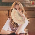 Premium Japanese Folding Wooden Handheld Fan (13 X 8 Inch) (Authentic) (Pack of 1)