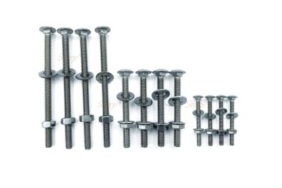Storp Stainless Steel Hex Nut Head Screw Set – 12 Pcs (2", 3", 5") for Furniture, Doors & Cabinetsv