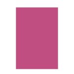 Chart Paper 200 GSM Premium Big Sheets | Love Pink | Pack of 5 | Vibrant Bright & Soft Pastel Color | Ideal for Crafts, Art, DIY & School Projects | A1 Big | Full Size - 56 cm x 71 cm | GRD449