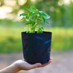 Go Garden 8 x 12 Inch Plastic Poly Grow Bags for Home Gardens - Perfect for Plantation and Used in Every Plant Nursery - Ideal for Home Plants (Black - 50 Qty)